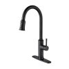 Kitchen Faucet with Pull Out Sprayer