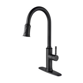 Kitchen Faucet with Pull Out Sprayer