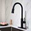 Kitchen Faucet with Pull Out Sprayer